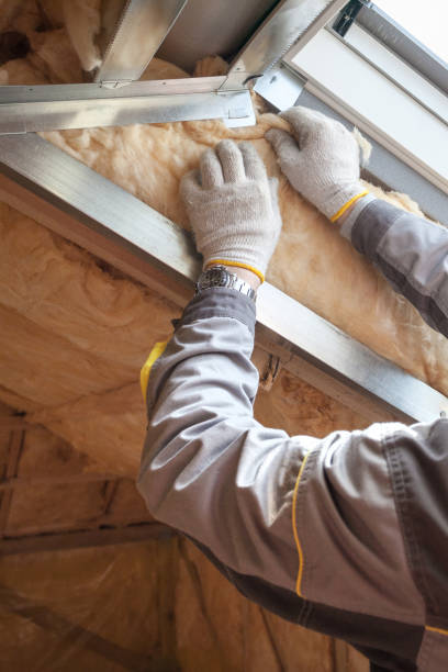 Best Insulation Installation Services in Lexington, TN