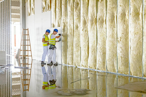 Best Commercial Insulation in Lexington, TN